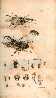 Index picture i_Dir\i_Page1.htm